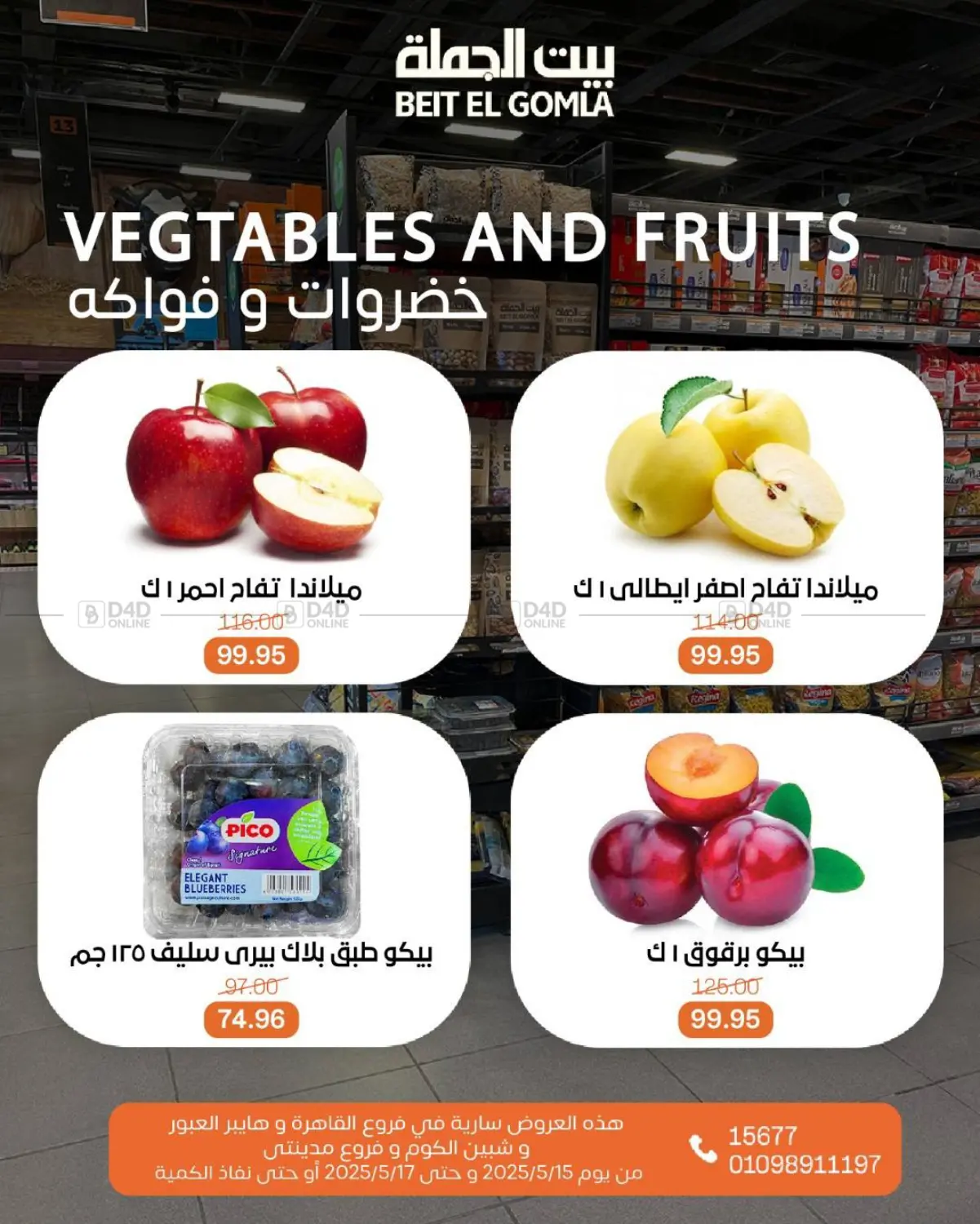 Special Offer in Cairo