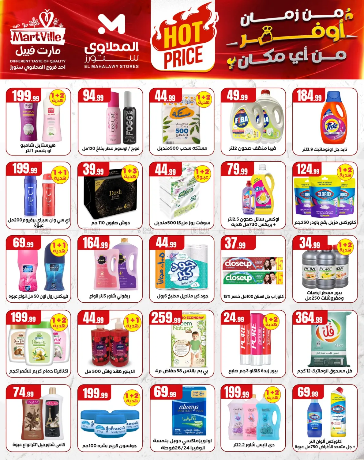 Special offer in Cairo