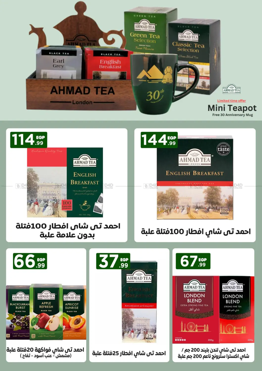 Special offer in Cairo