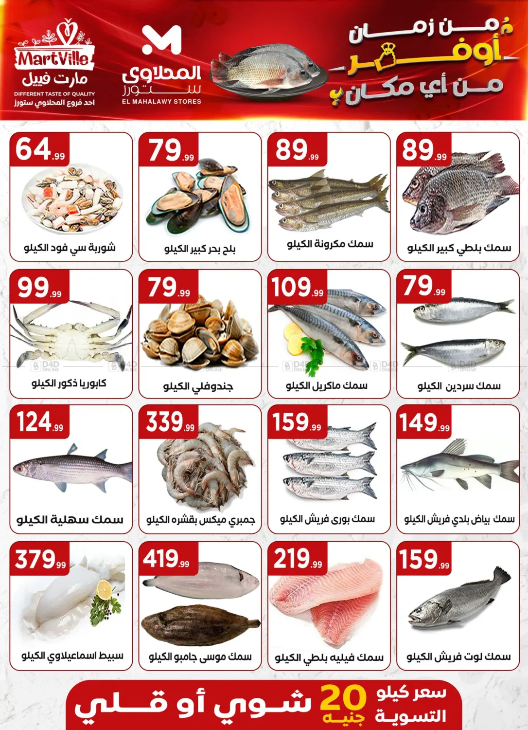 Special offer in Cairo