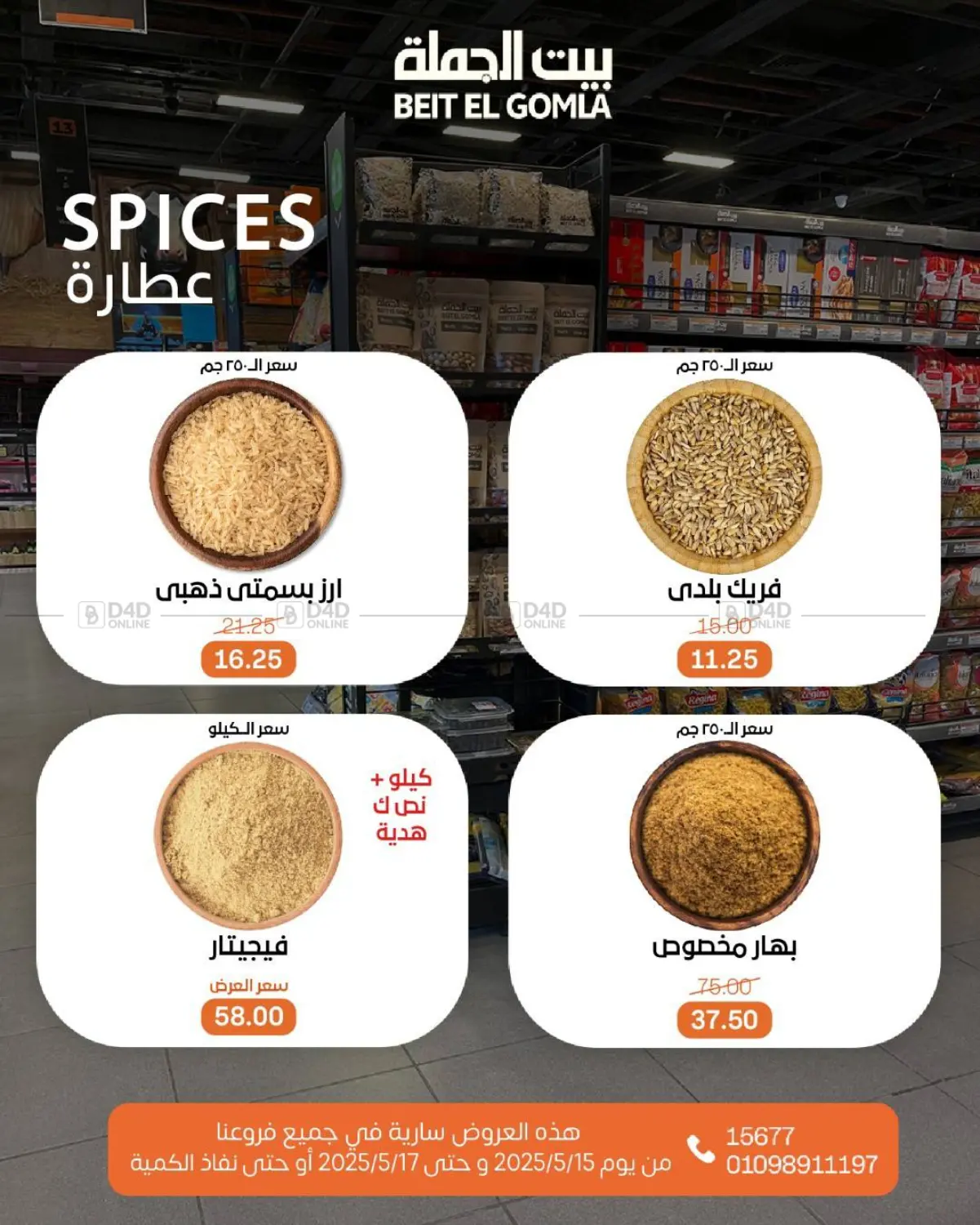 Special Offer in Cairo