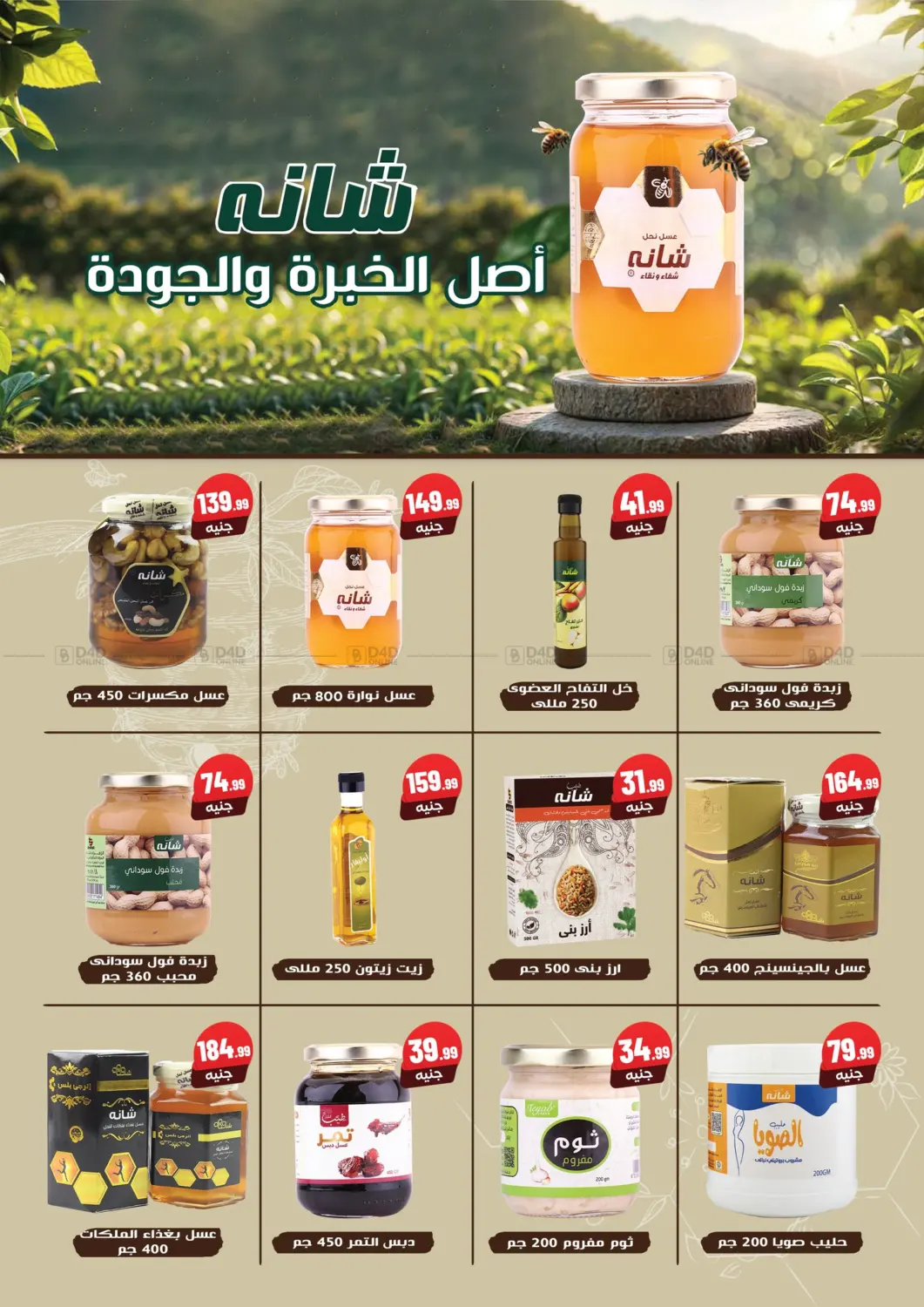 Special offer in Cairo