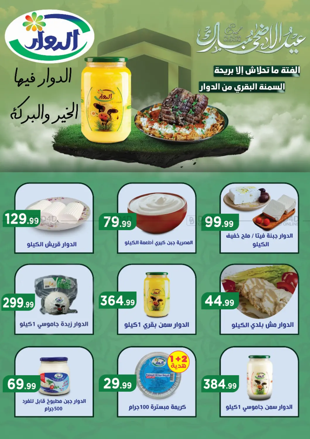 Special offer in Cairo