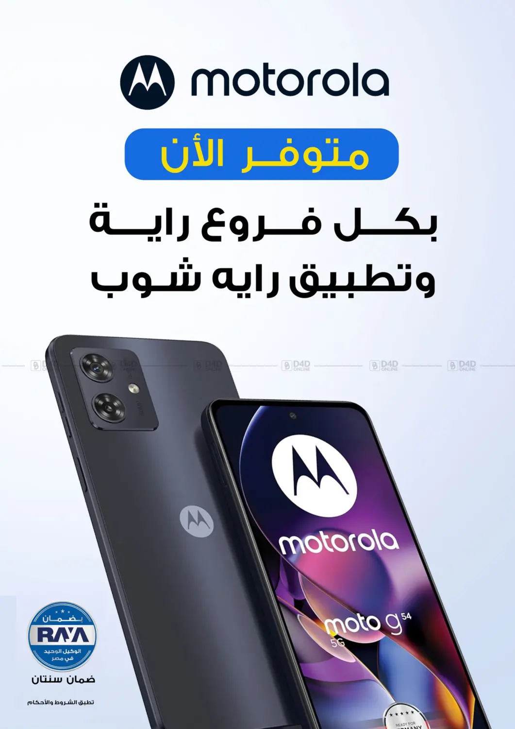 Special offer in Cairo