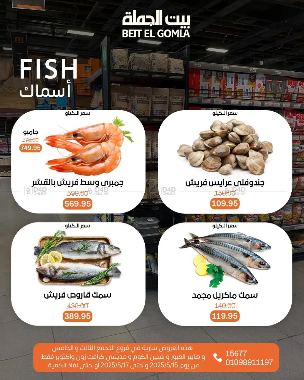 Special Offer in Cairo