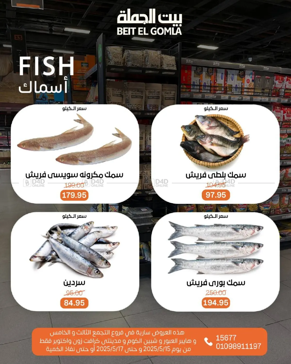Special Offer in Cairo