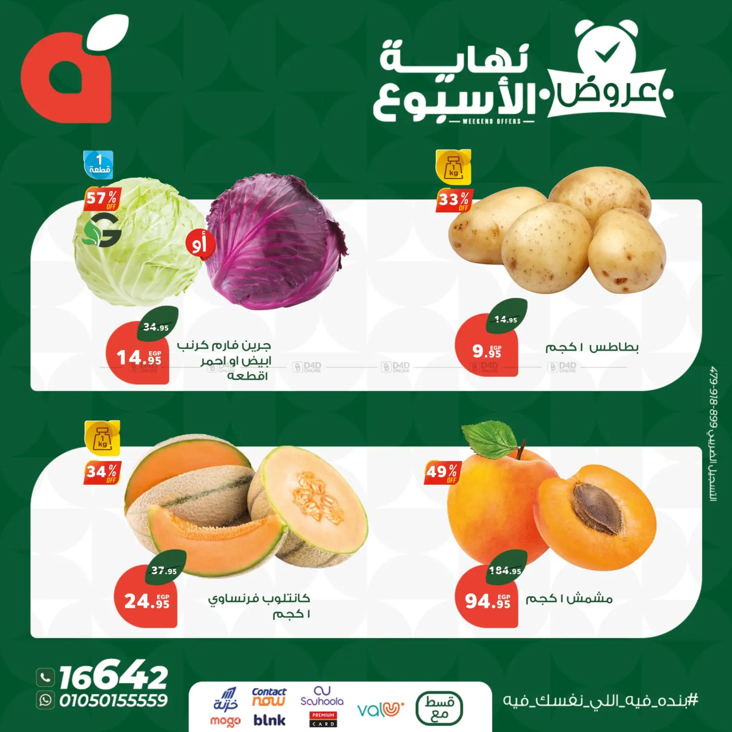 Special Offer in Cairo