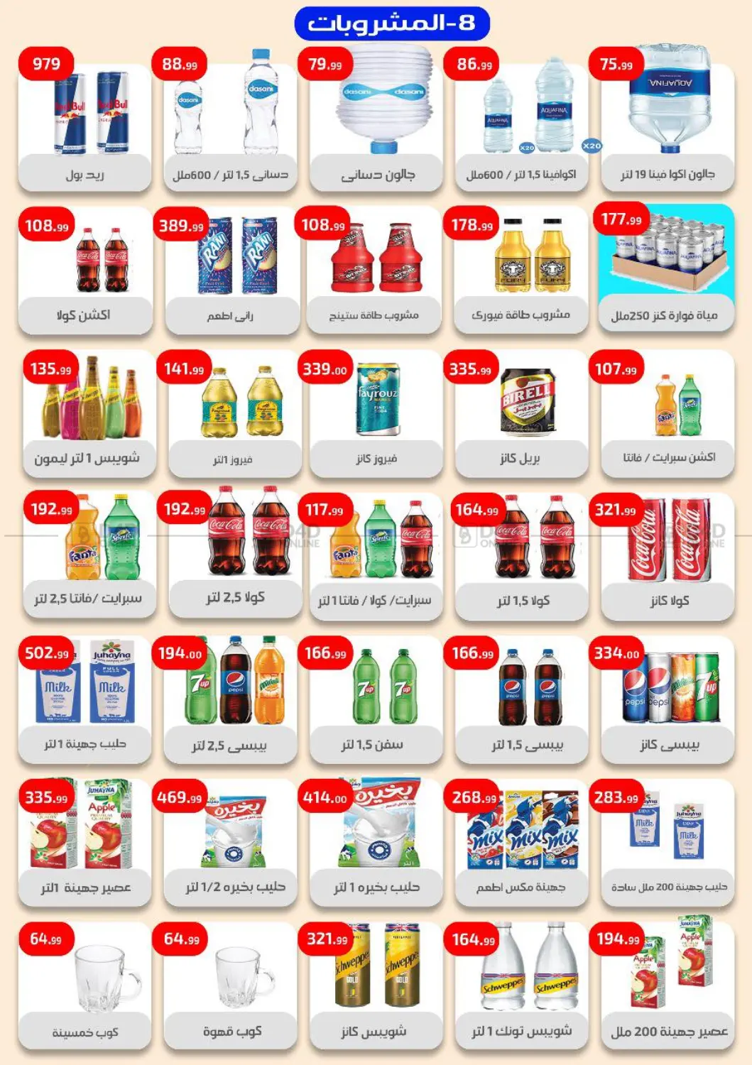 Special Offer in Cairo