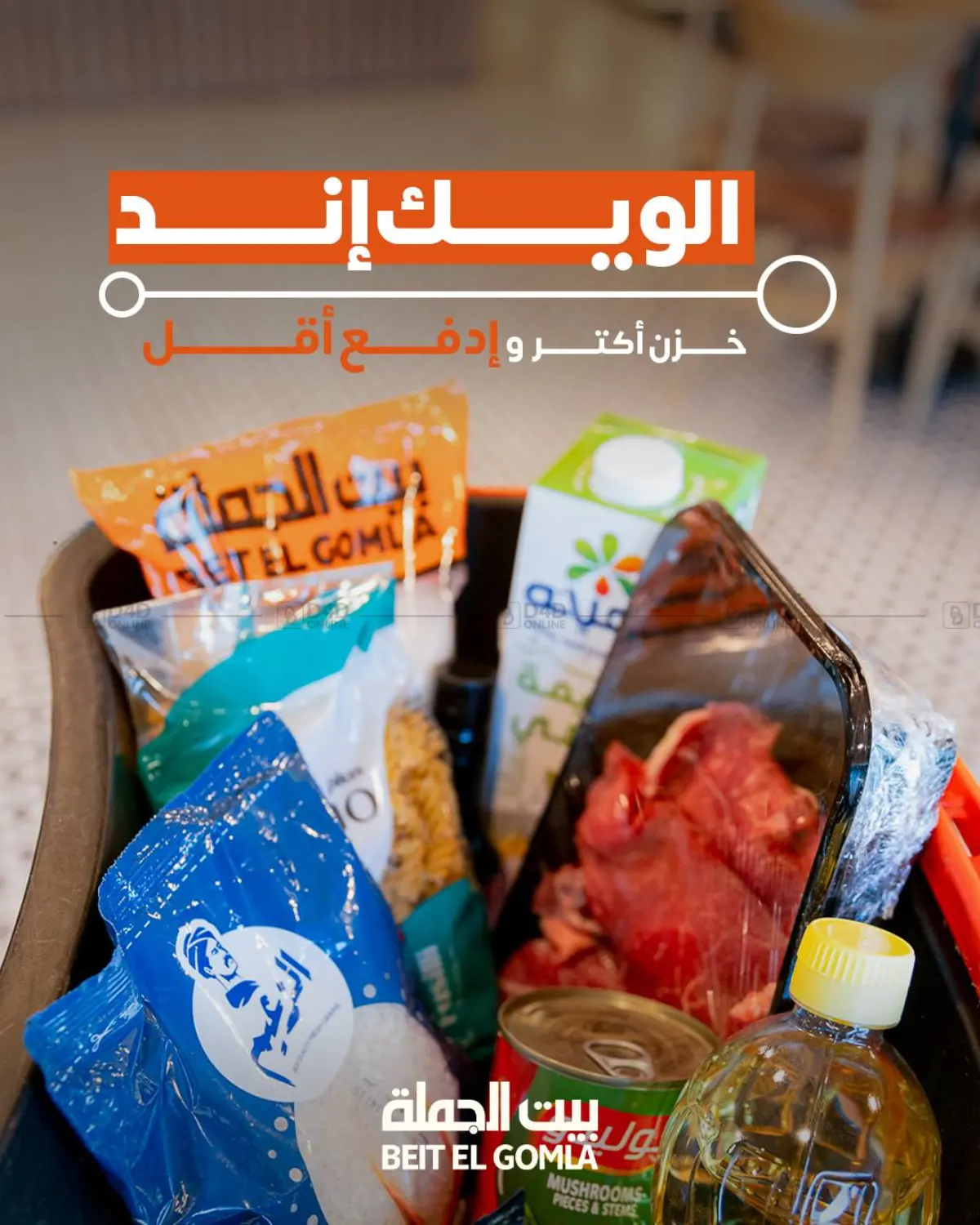 Special Offer in Cairo
