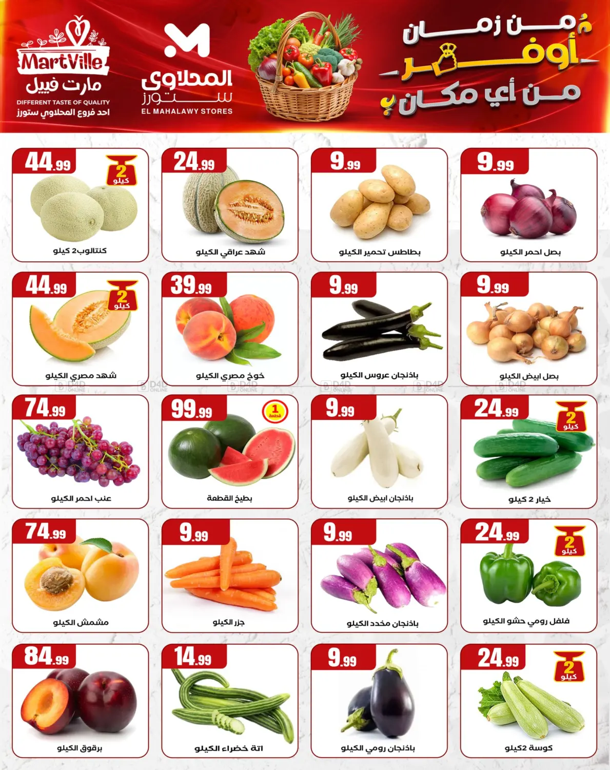 Special offer in Cairo