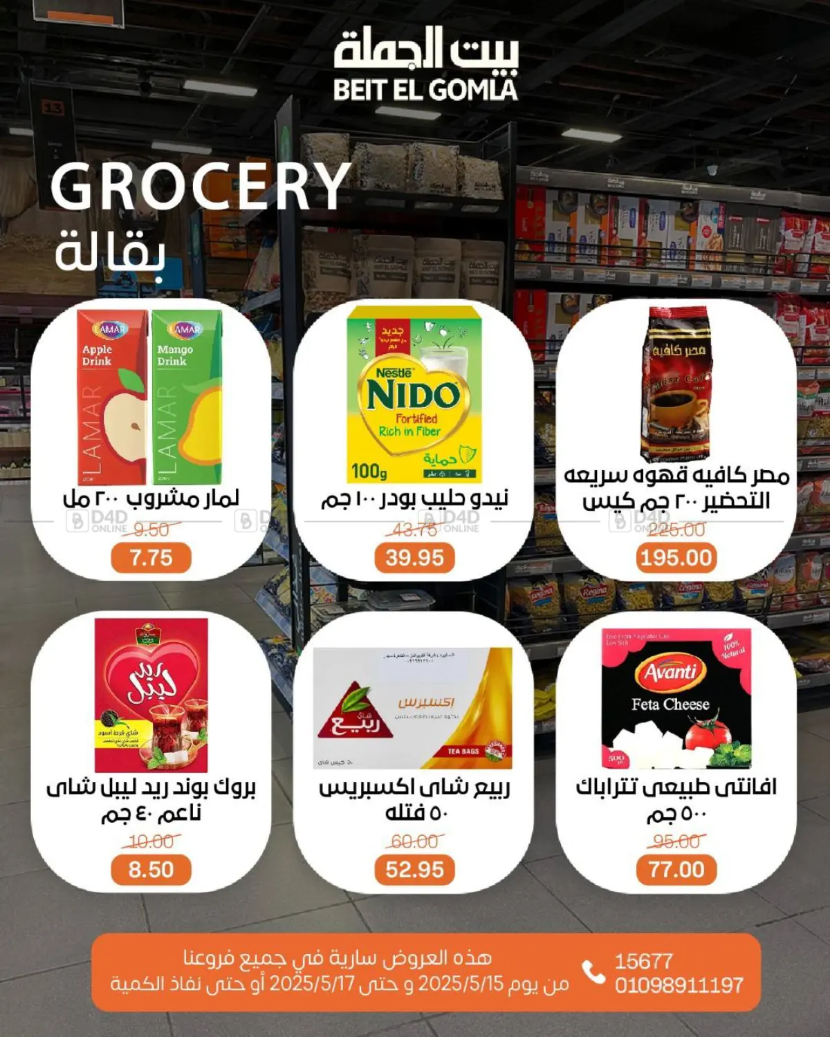 Special Offer in Cairo