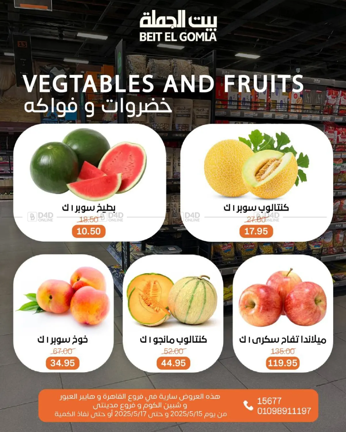 Special Offer in Cairo