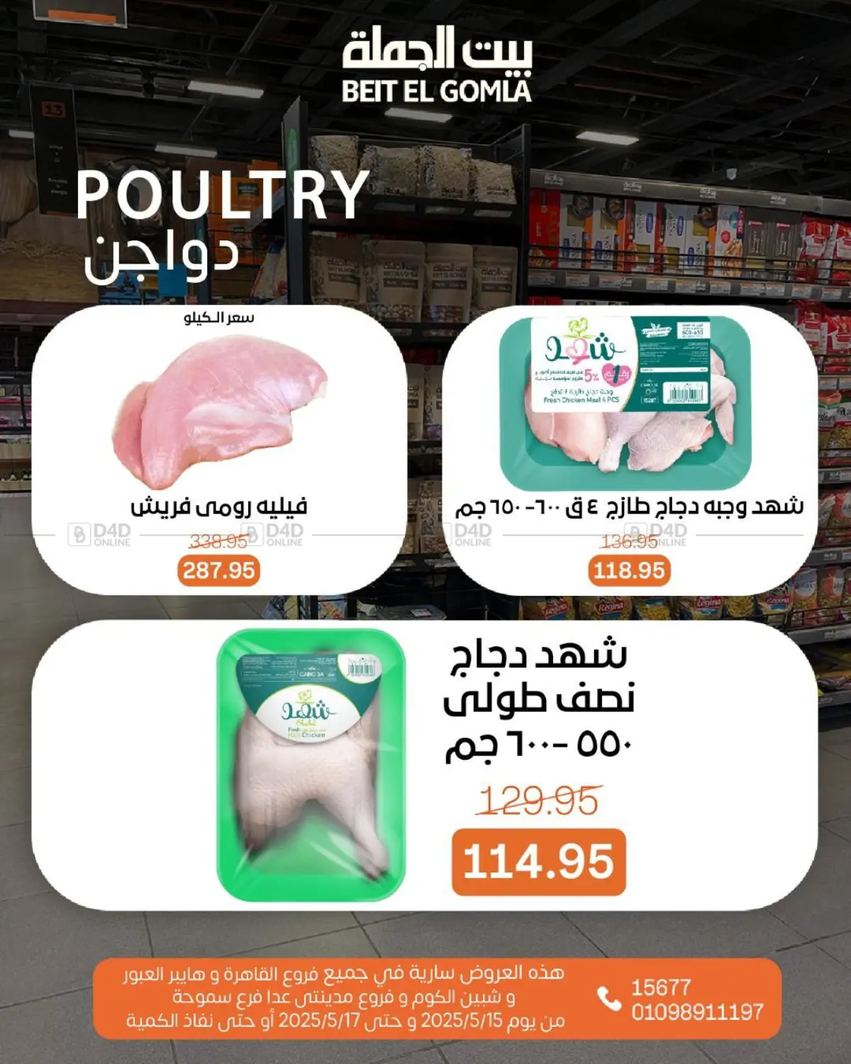 Special Offer in Cairo