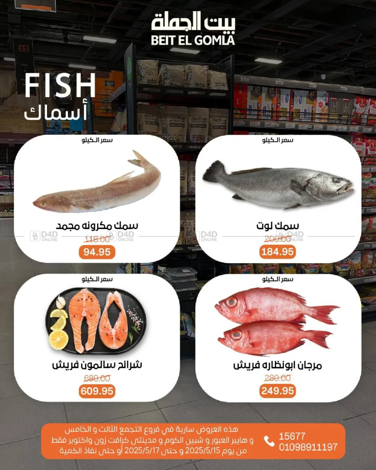 Special Offer in Cairo