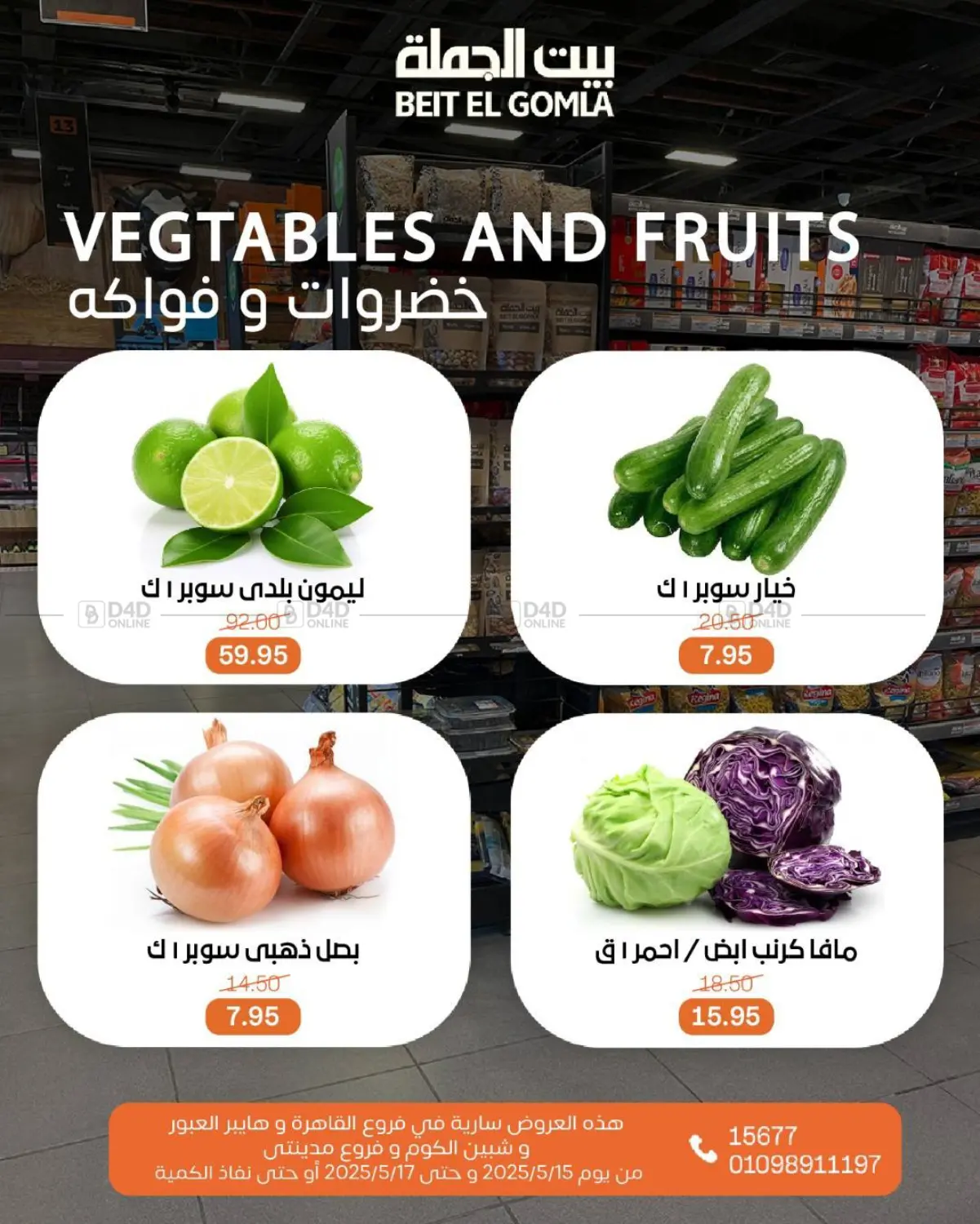 Special Offer in Cairo