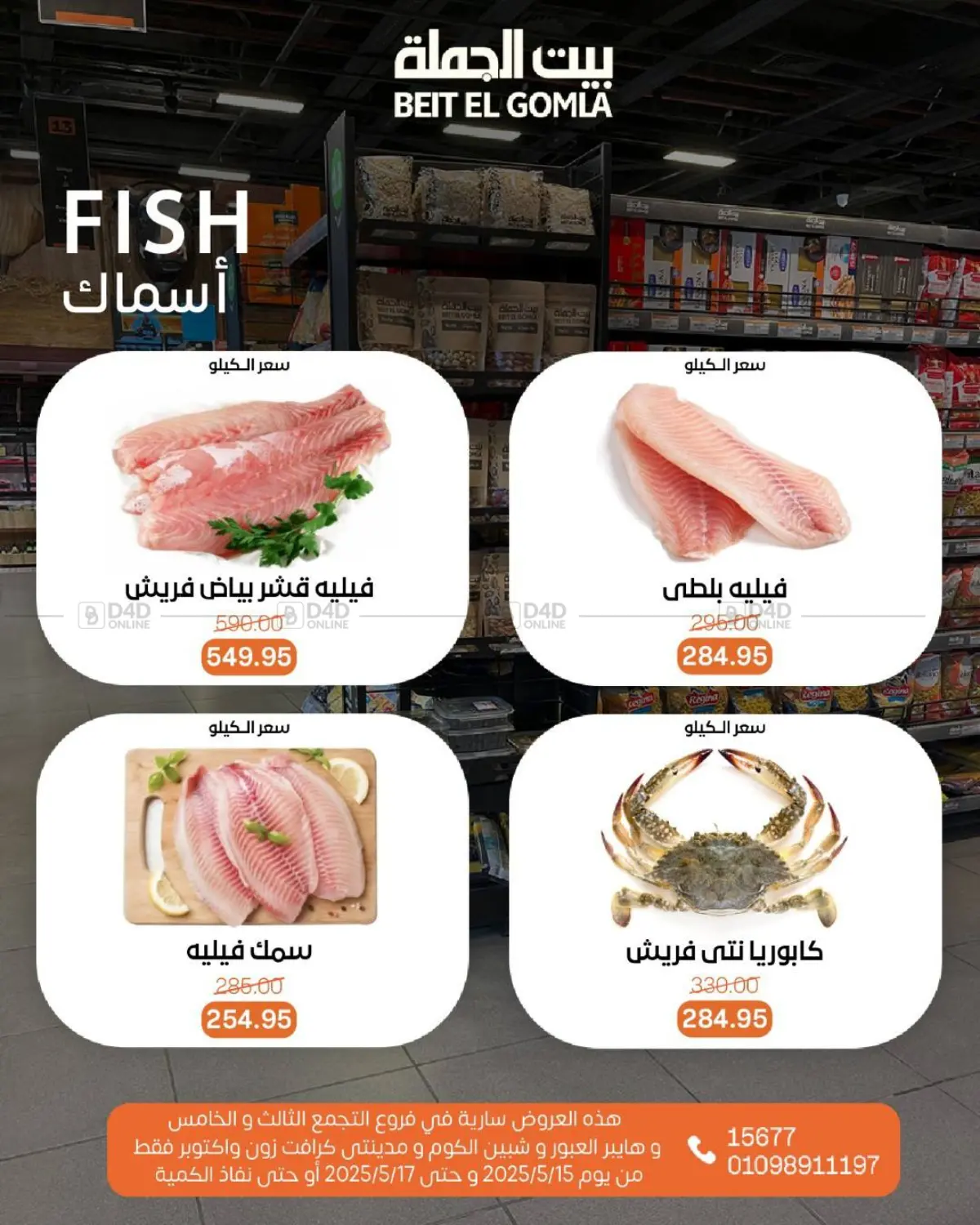 Special Offer in Cairo