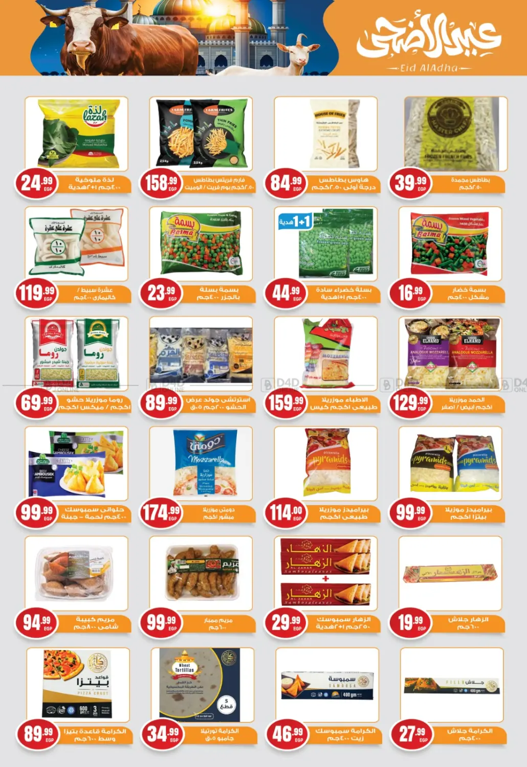 Special Offer in Cairo