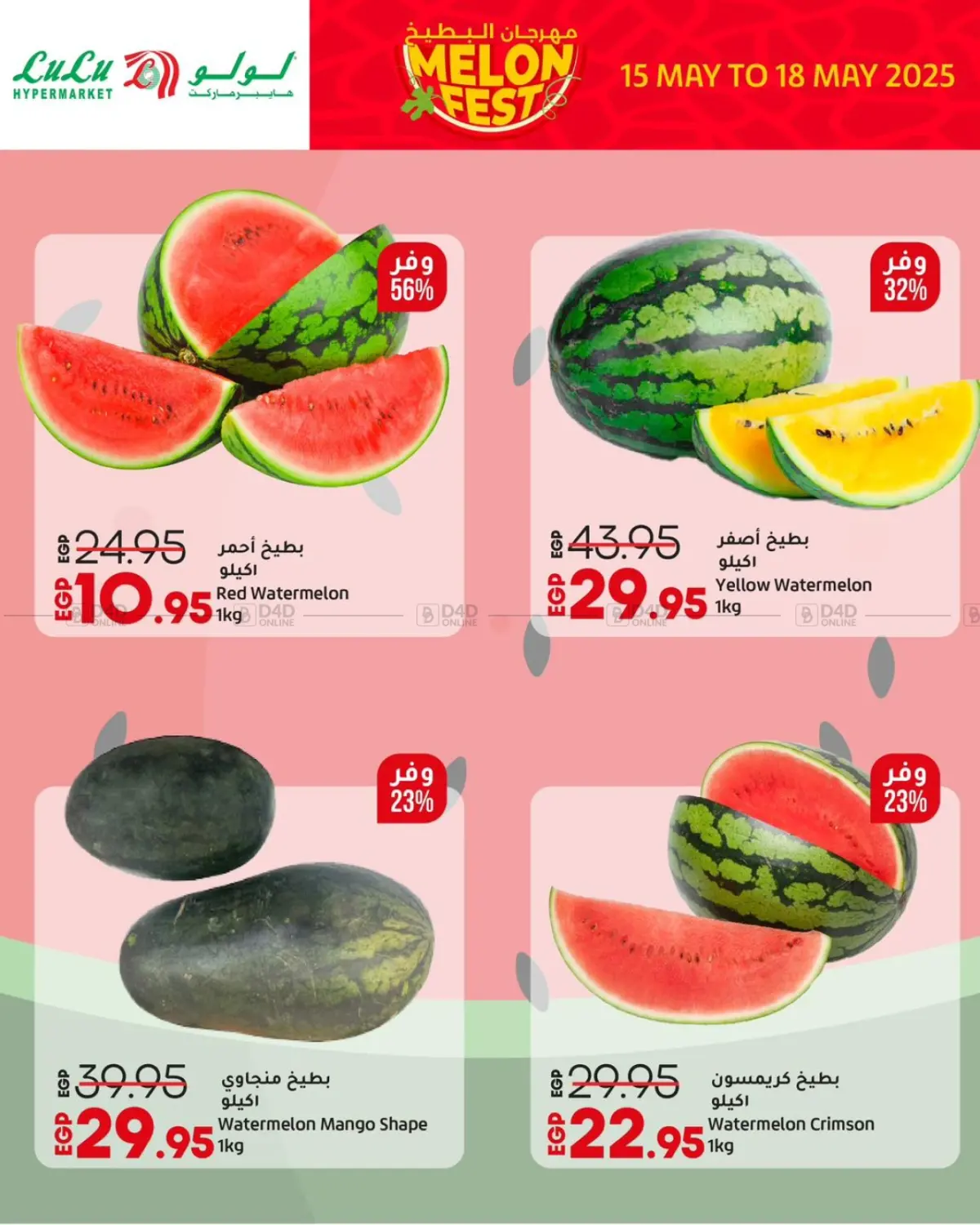 Melon Fest in Cairo