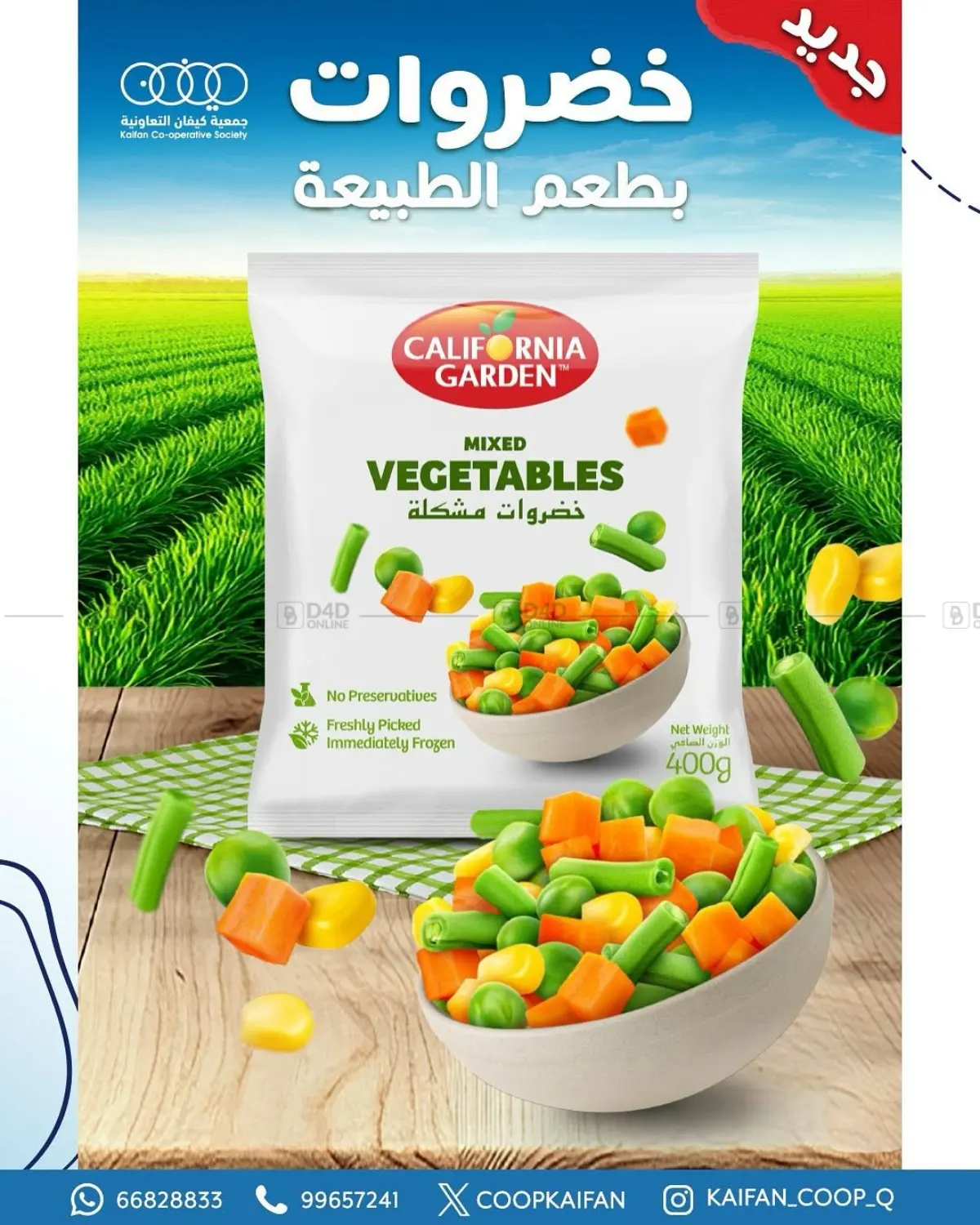 Offers in Kuwait City