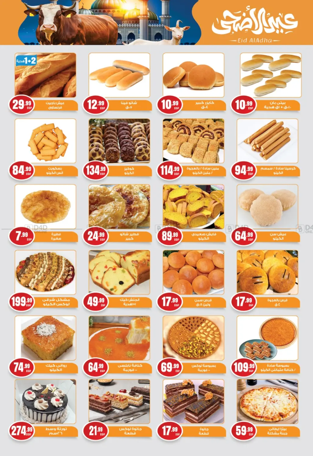 Special Offer in Cairo