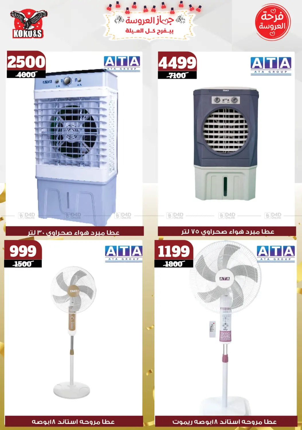 Special offer in Cairo