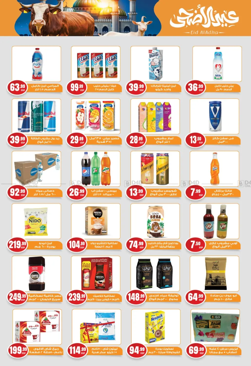 Special Offer in Cairo