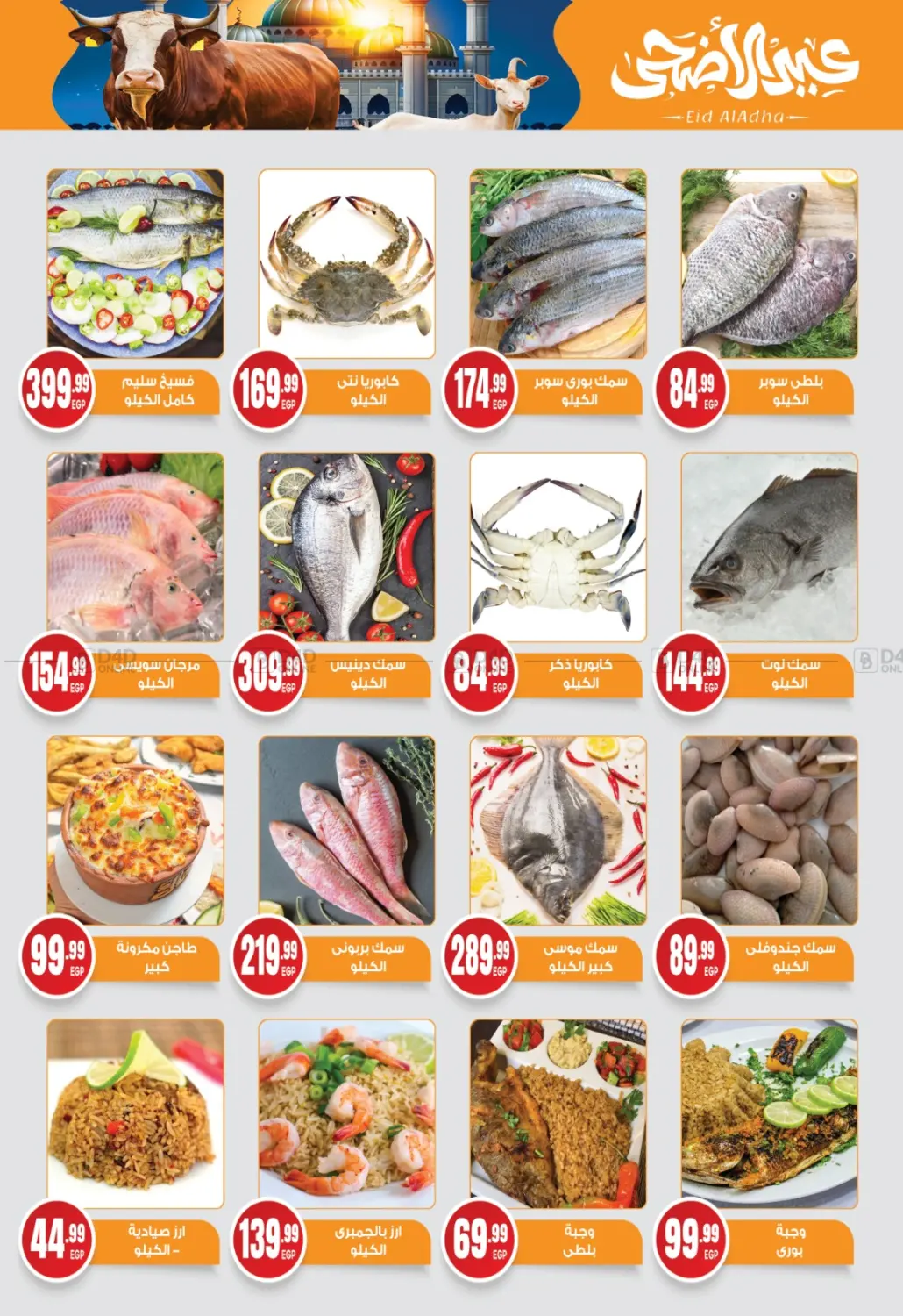 Special Offer in Cairo