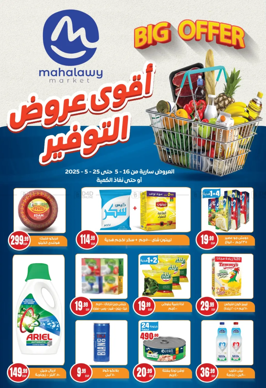Special Offer in Cairo