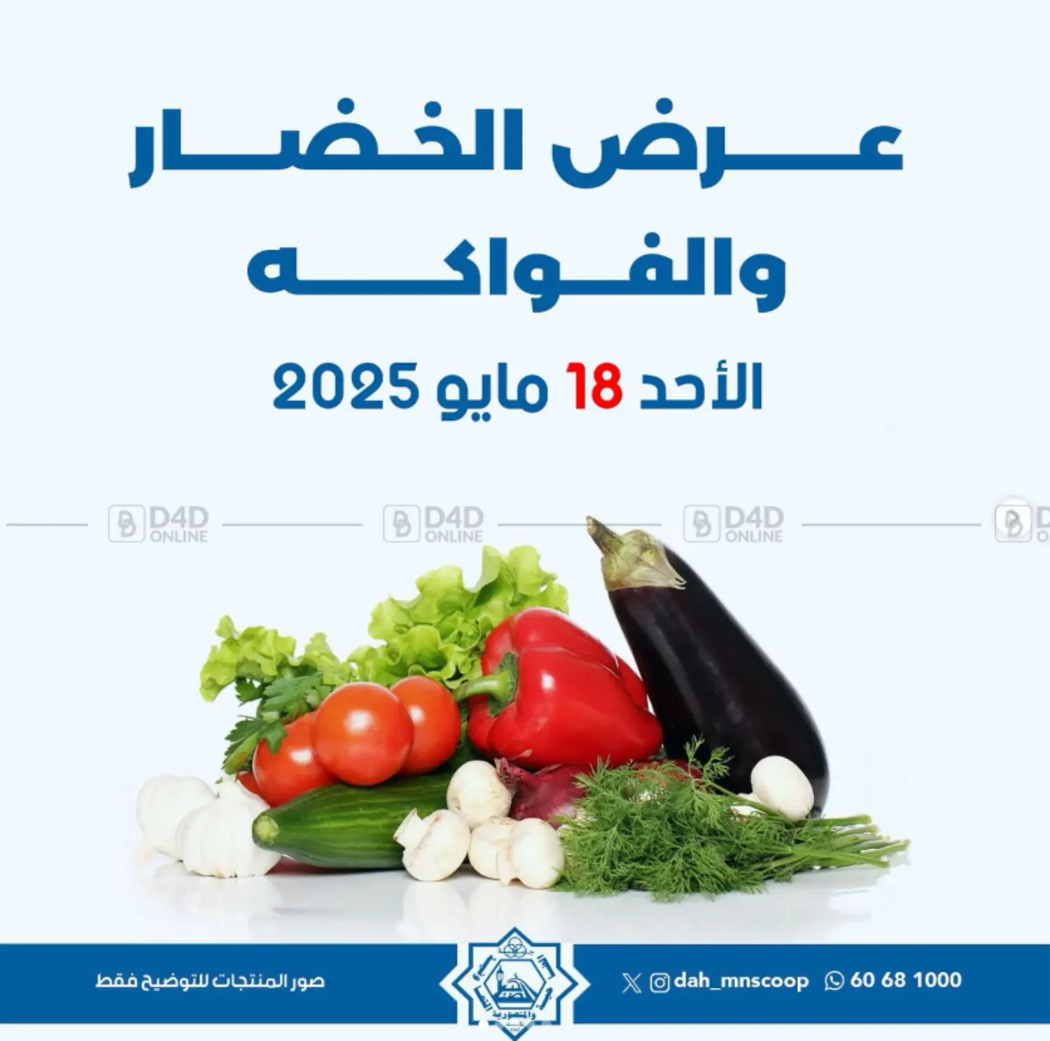Special Offer in محافظة الأحمدي
