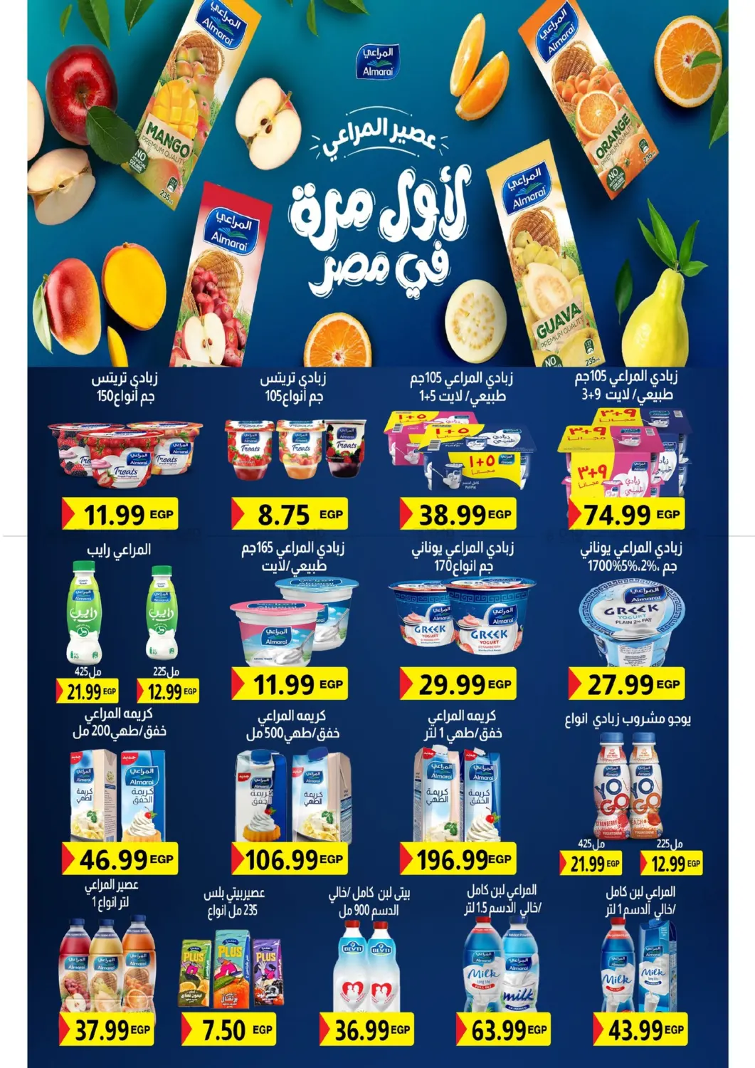 Special Offer in Cairo