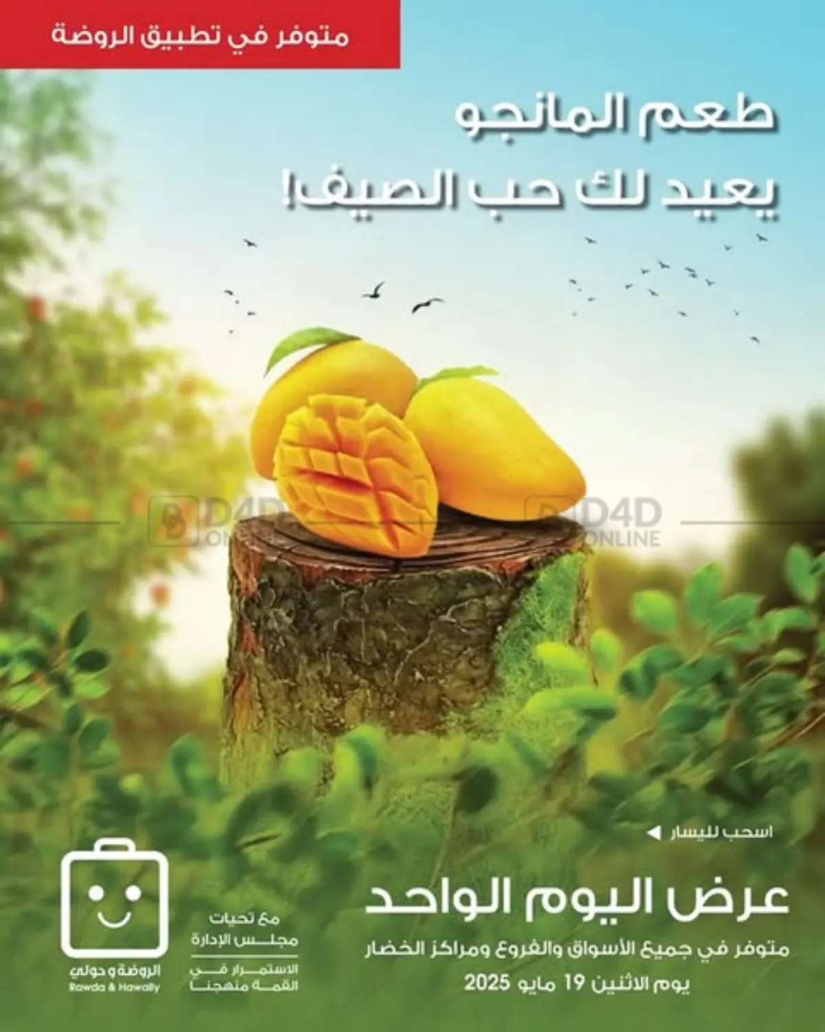 طعم الماجو يعيد لك حب الصيف in مدينة الكويت