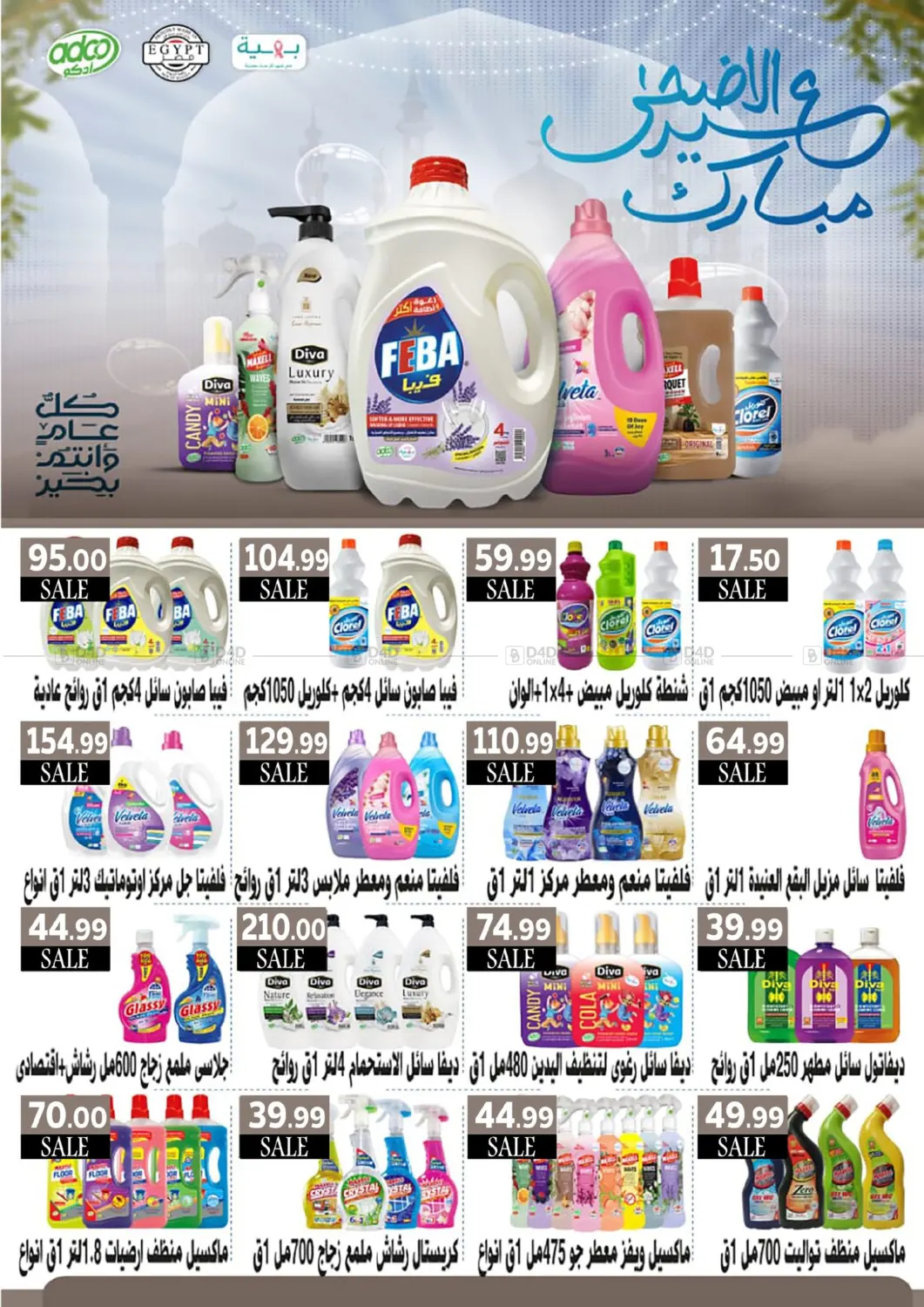Special Offer in Cairo