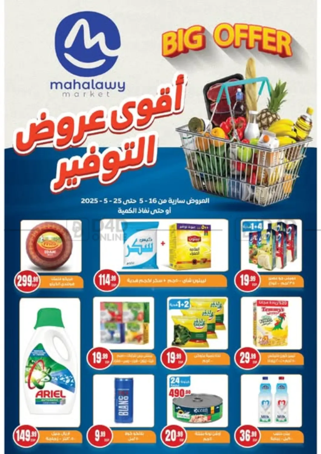 Special Offer in Cairo