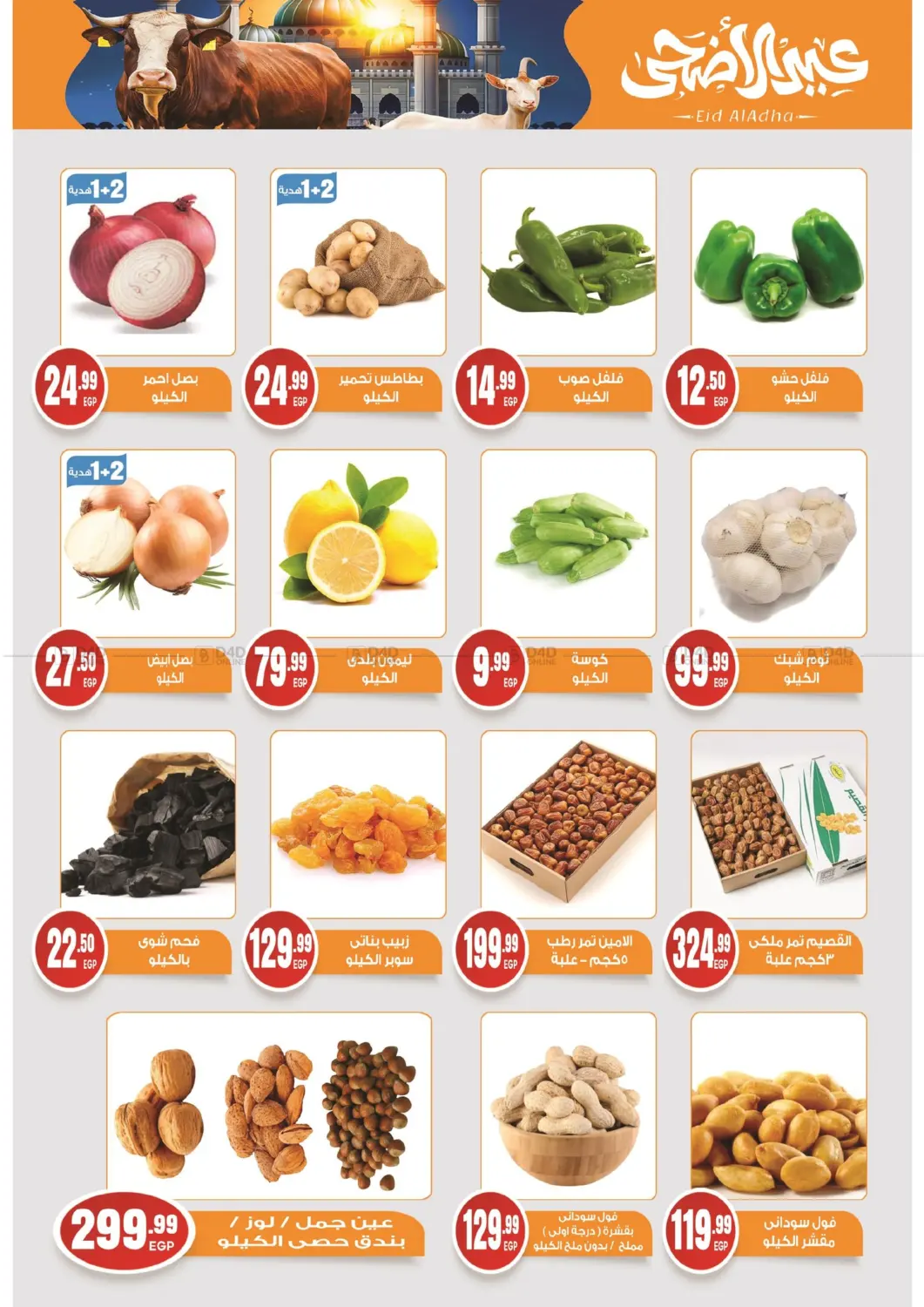 Special Offer in Cairo