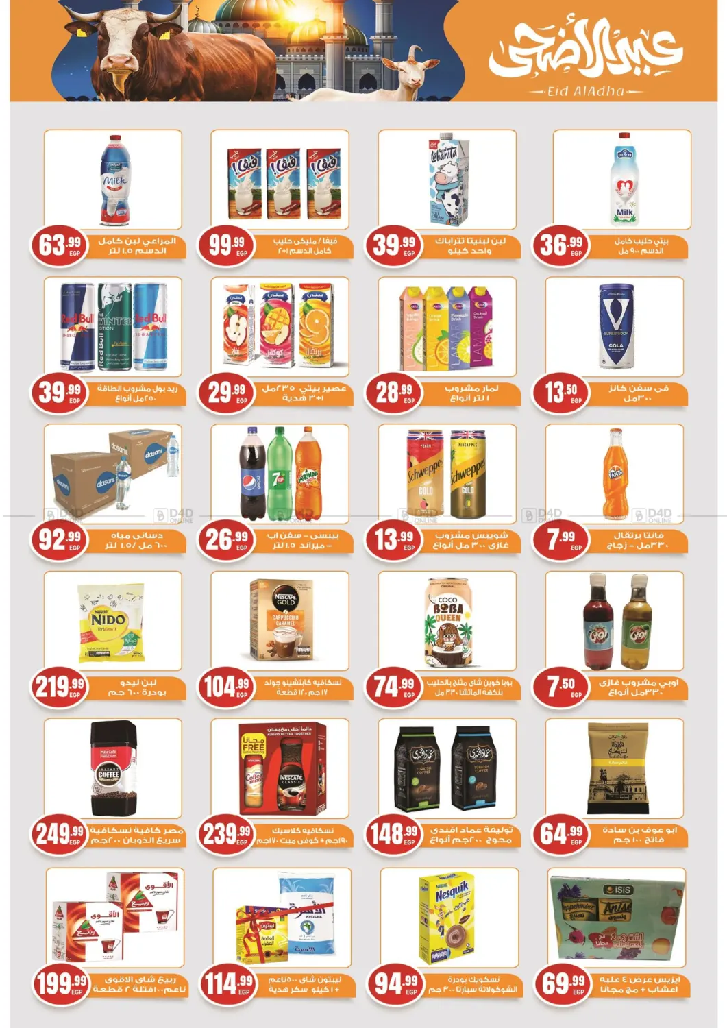 Special Offer in Cairo