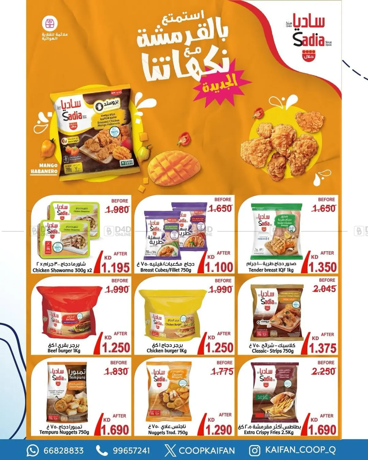 العروض in مدينة الكويت