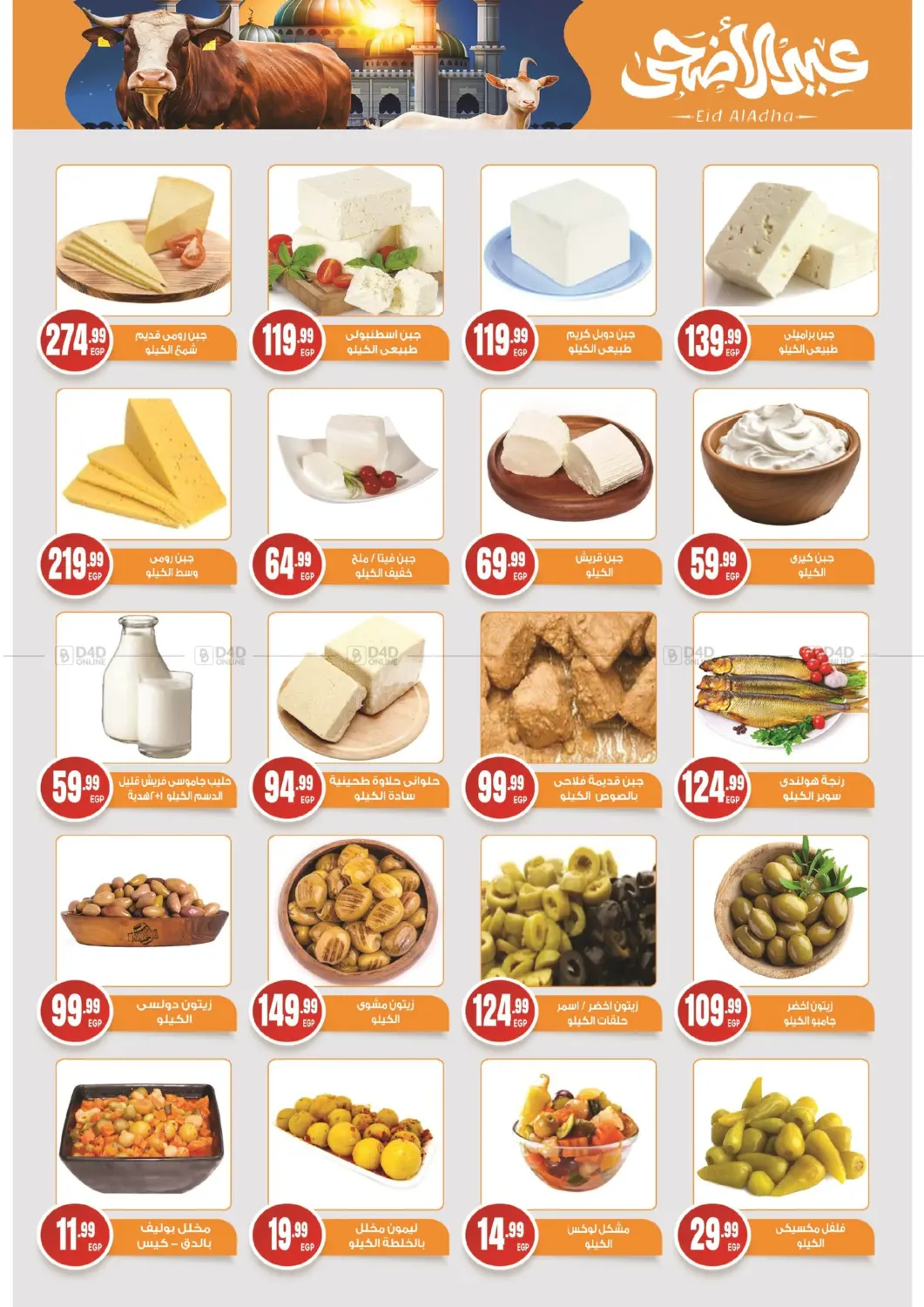Special Offer in Cairo