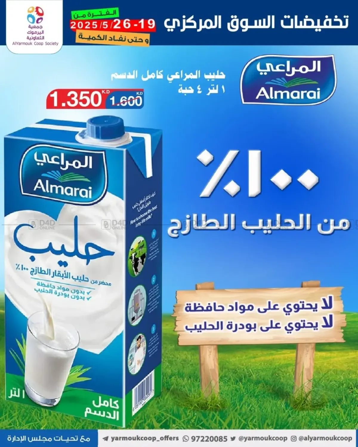 Special Offer in Kuwait City