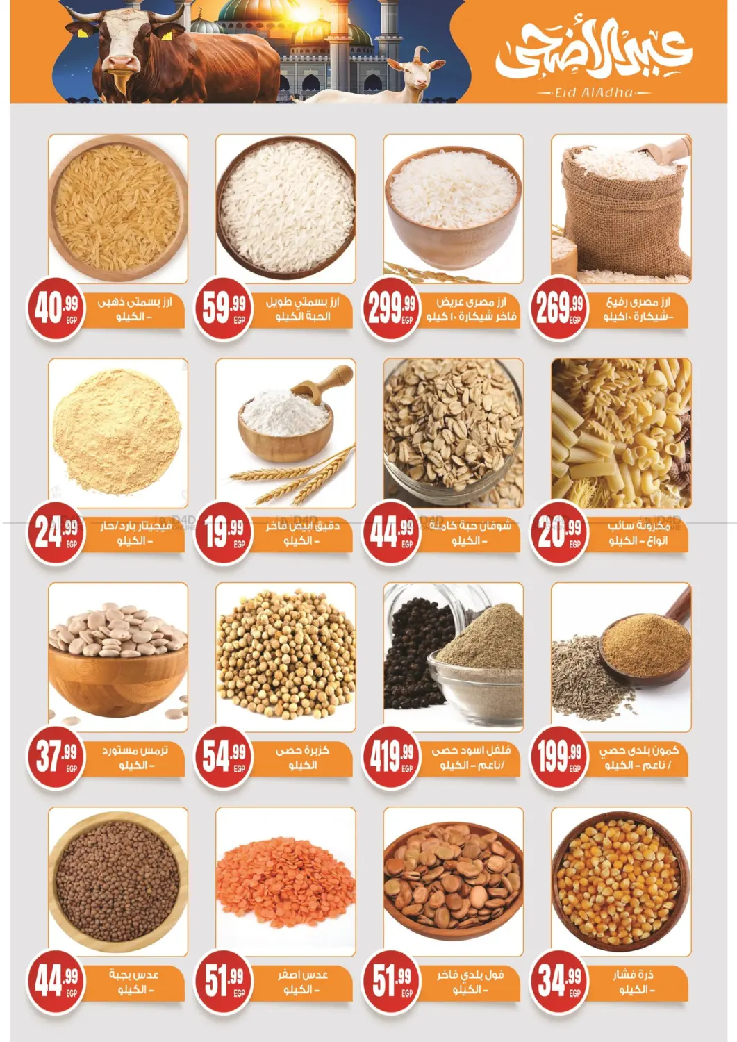 Special Offer in Cairo
