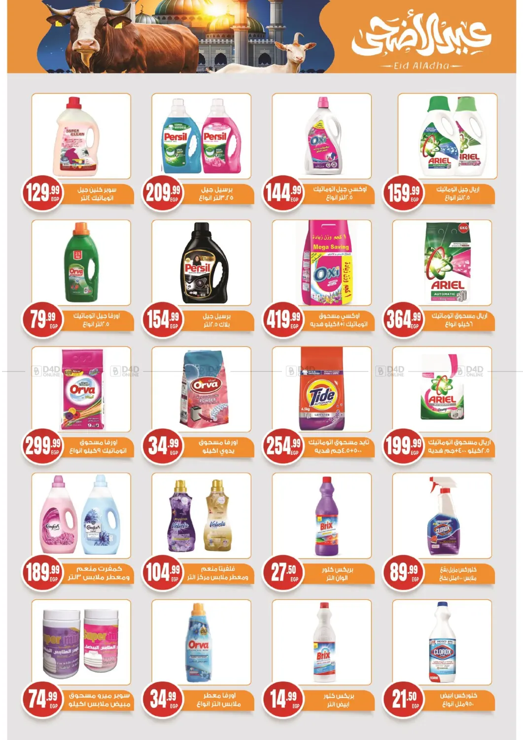 Special Offer in Cairo