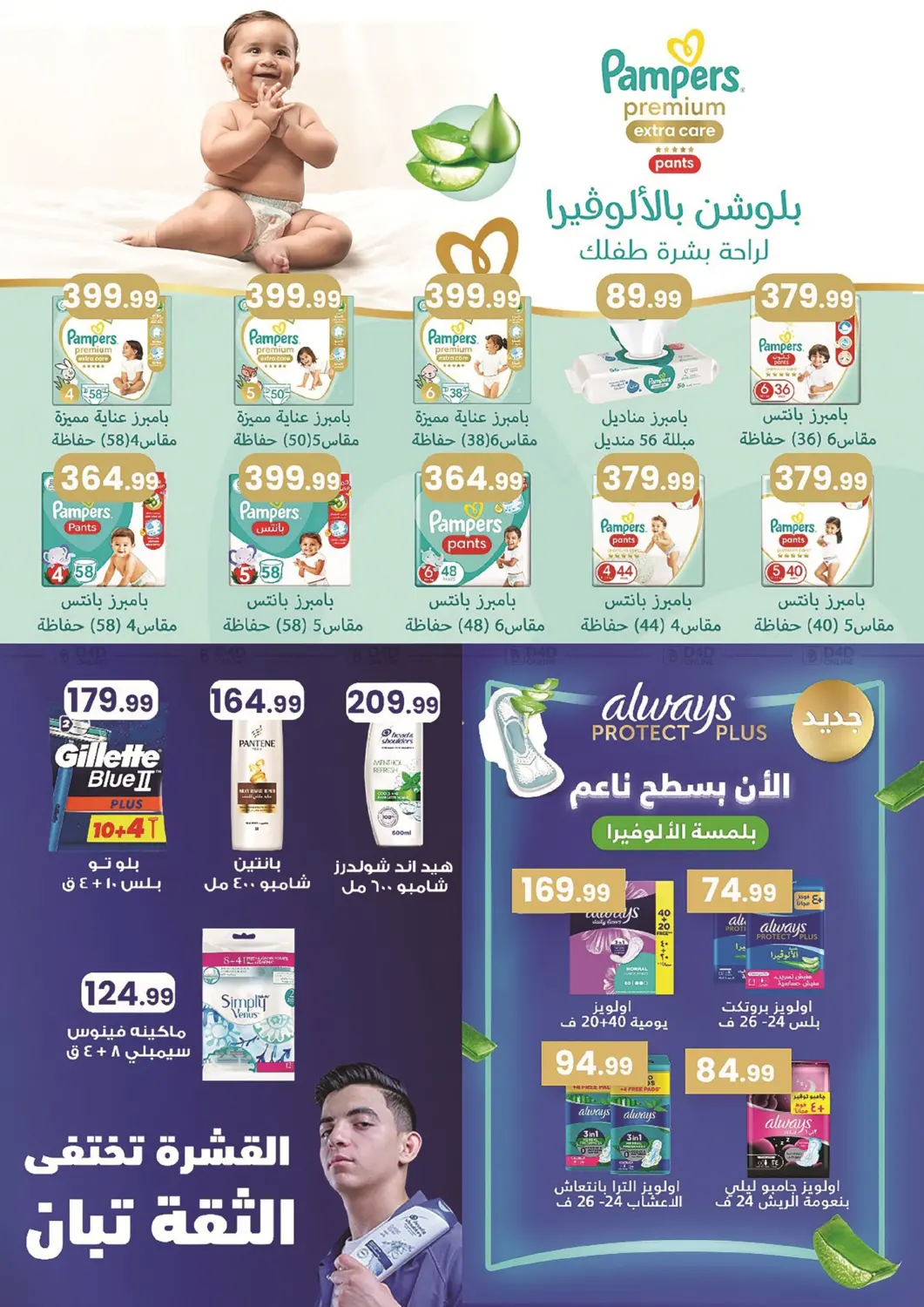 Special Offer in Cairo