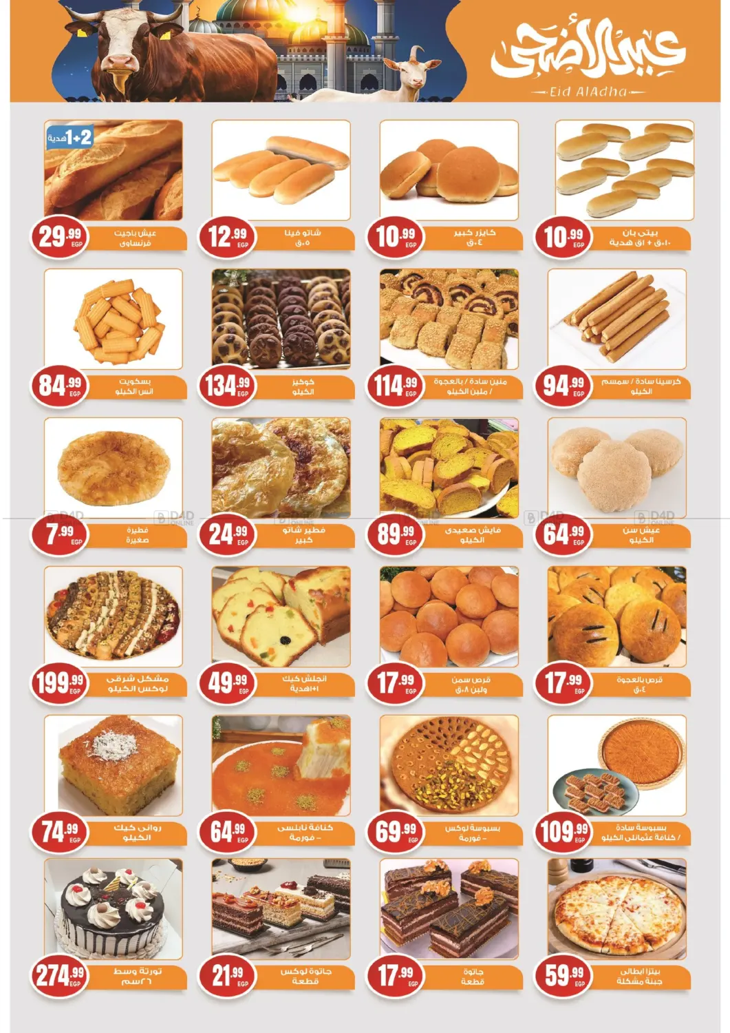 Special Offer in Cairo