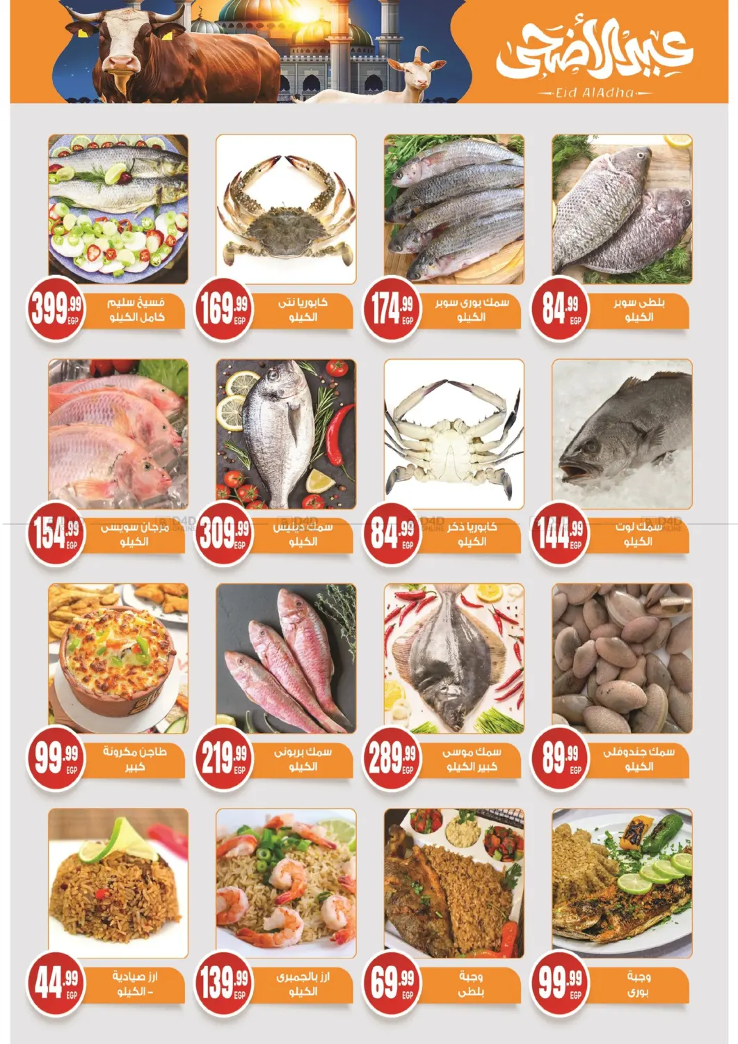 Special Offer in Cairo