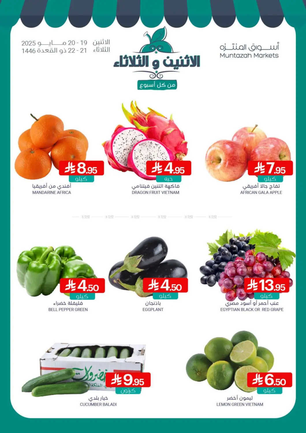 Fresh Monday & Tuesday in Saihat
