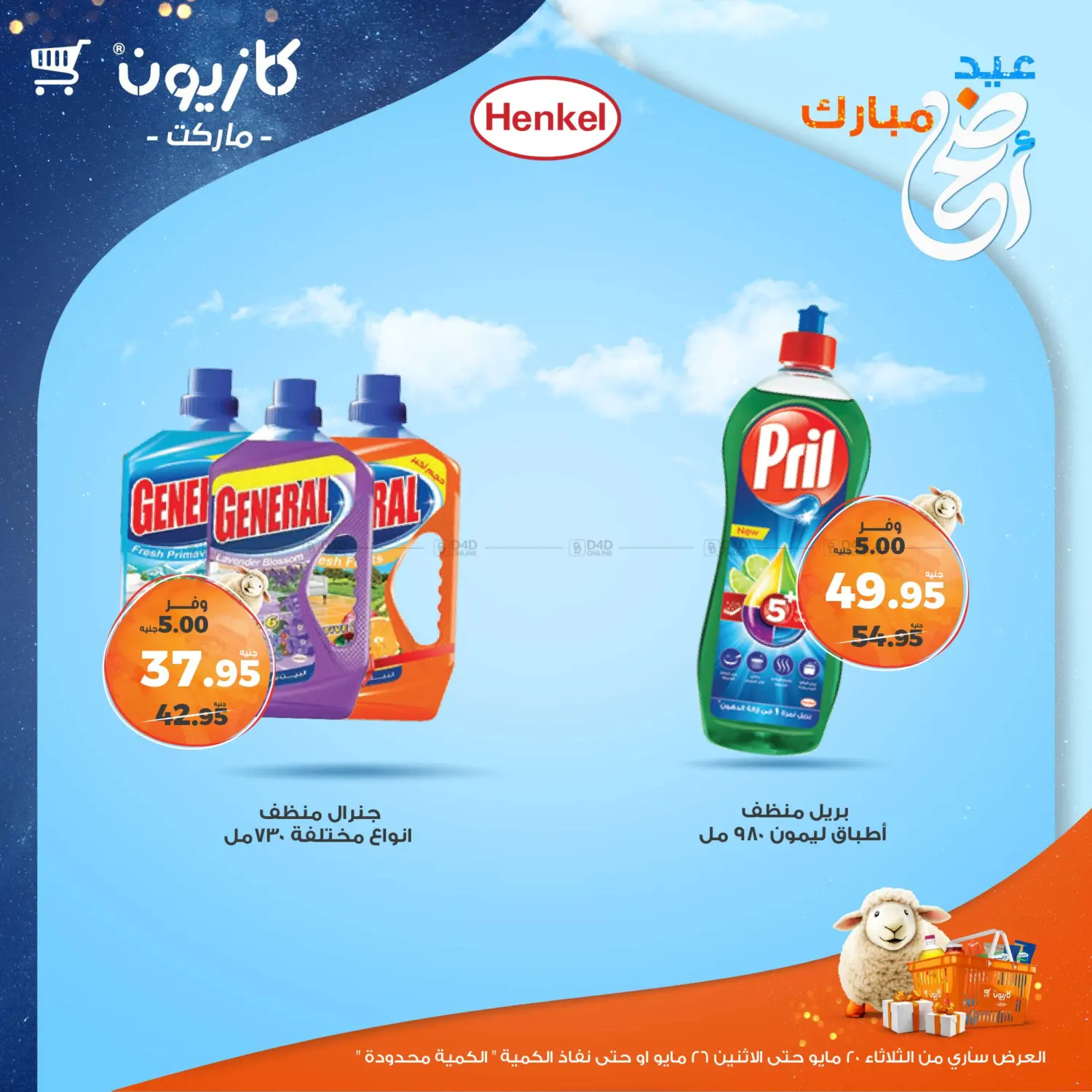 Special Offer in Cairo