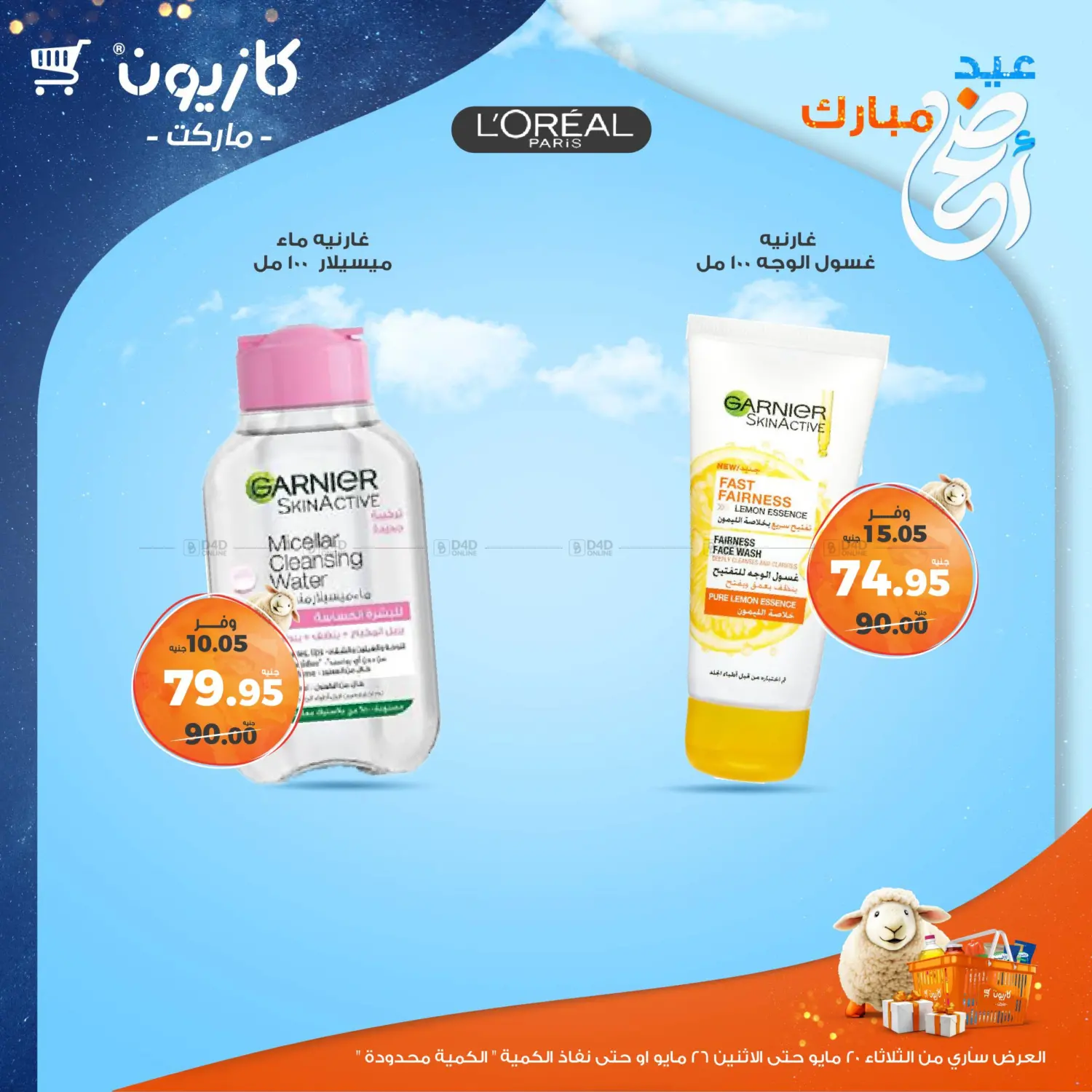 Special Offer in Cairo