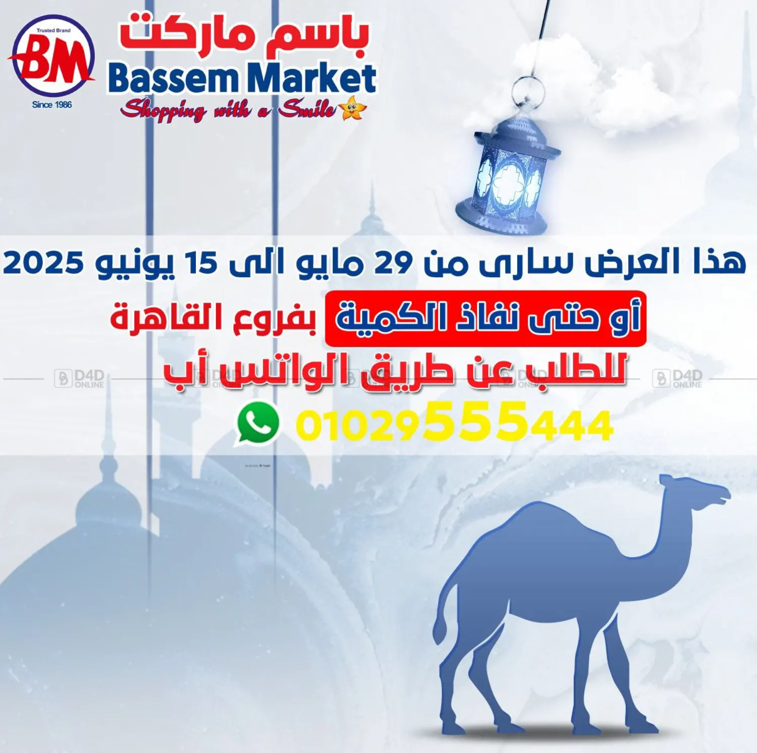 Special Offer in Cairo