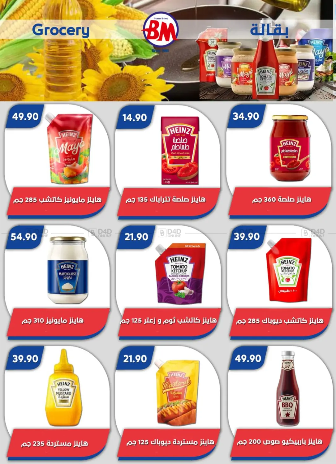 Special Offer in Cairo