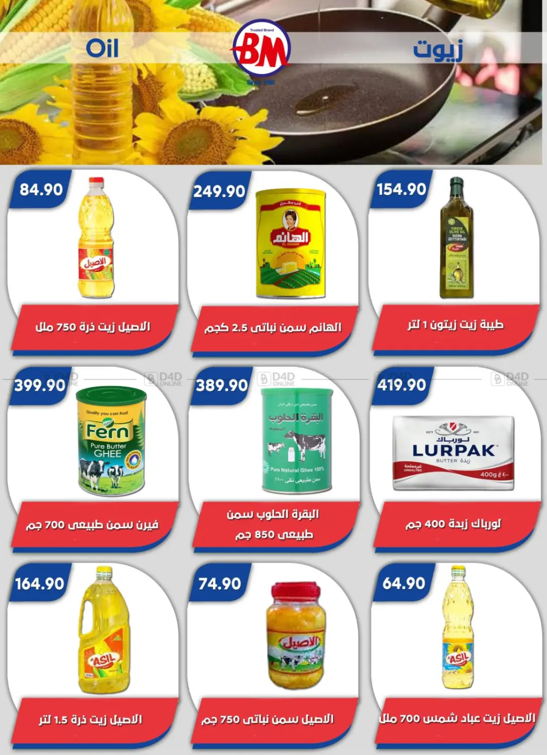 Special Offer in Cairo