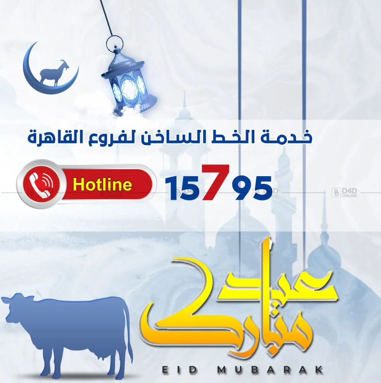 Special Offer in Cairo
